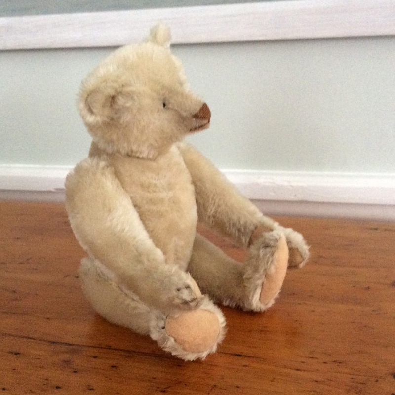 steiff 1907 replica bear